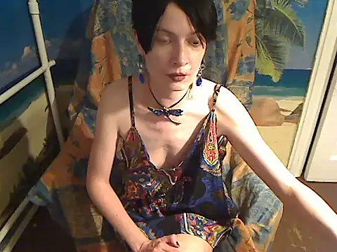 Bastet12 webcam