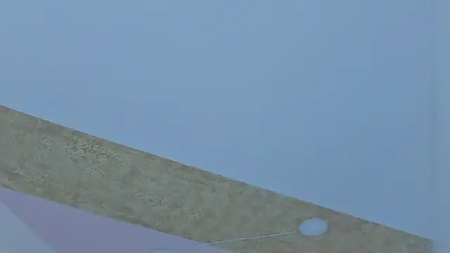 PandoraRider webcam