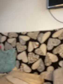 Carola-Ross webcam
