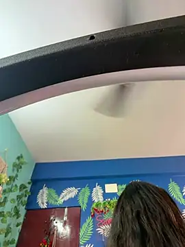 V-Hot-Sweti webcam