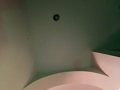 DollInk_ webcam