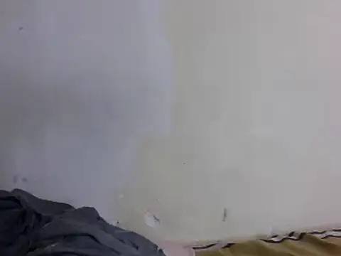 saraswee webcam