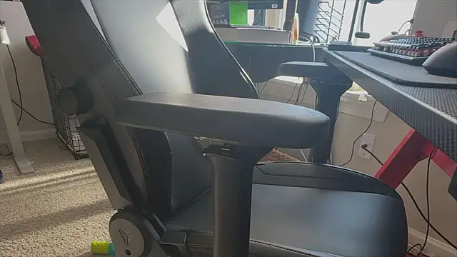 LatinFurBall webcam