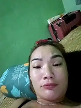 Voiva11 webcam