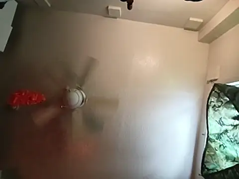 thefire420 webcam