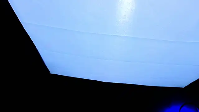 PerryKitty