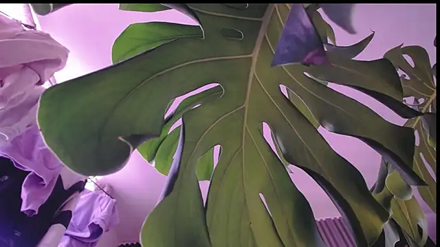 Santiago_kiler webcam