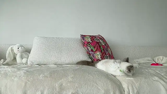 Ohbabykelly webcam