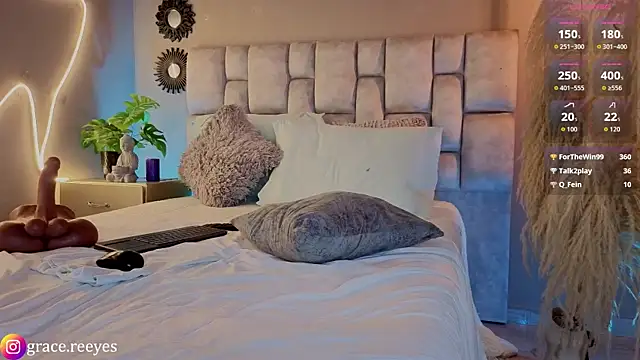 Silvermistt webcam