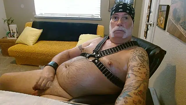 musclebearnips