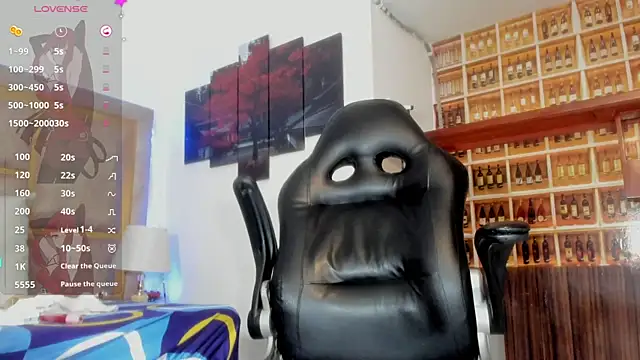 _Shirley_ webcam