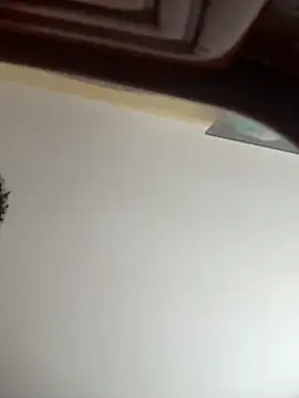 Valentinacouple webcam
