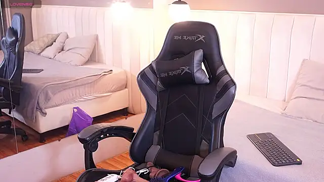 mekari_fox webcam
