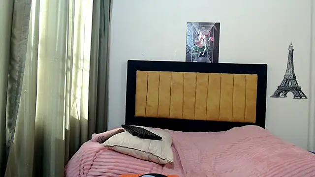 ANDRYXS100 webcam