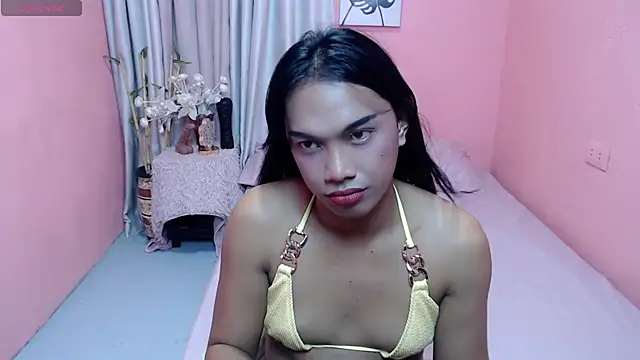Herbielustts webcam