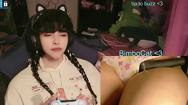 BimboCat webcam