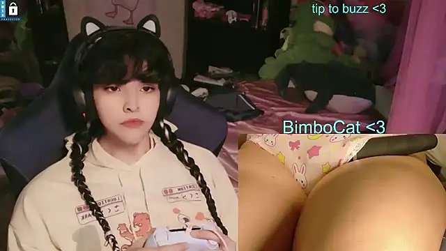 BimboCat webcam