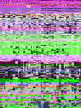 Kloenovoa- webcam