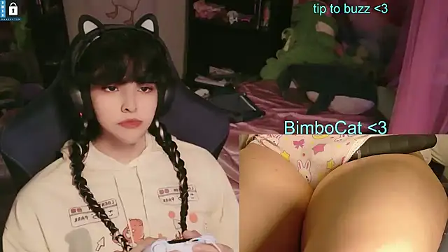 BimboCat webcam