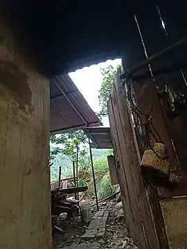 Jinli_01