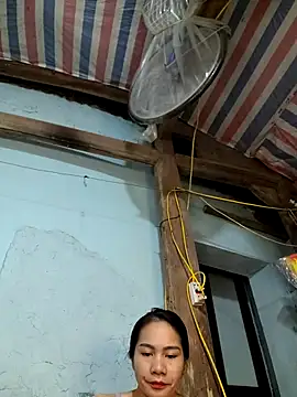 Nice_16 webcam
