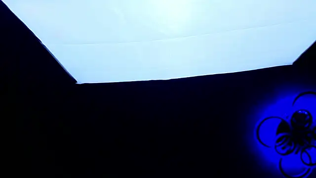 PerryKitty webcam
