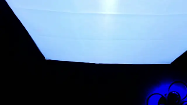 PerryKitty webcam