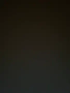TheDime webcam