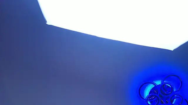 PerryKitty