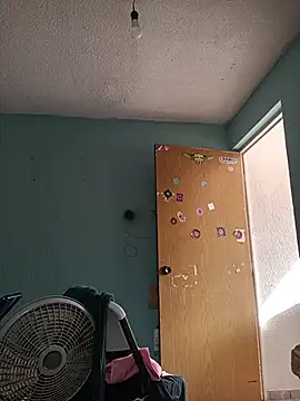 DocPepino webcam