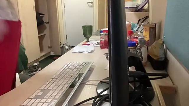 coach-karl webcam
