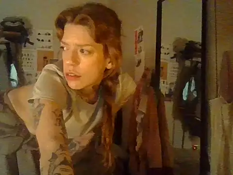 plsmecha webcam