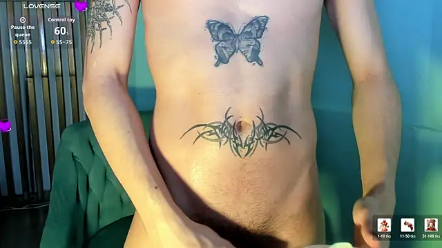 AndyWiilliams webcam