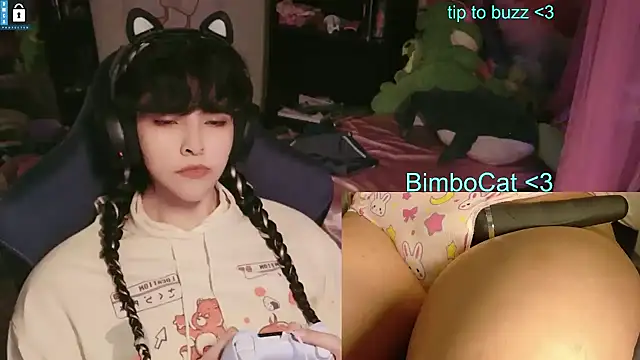 BimboCat webcam