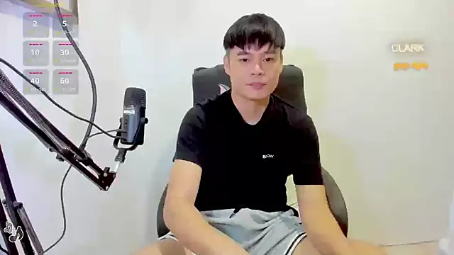 clarkdangerous webcam