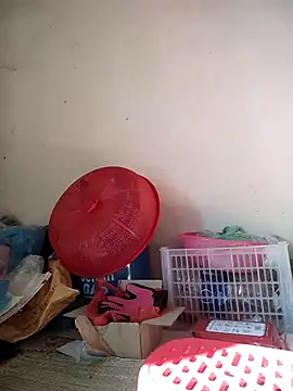 -Tara-a webcam