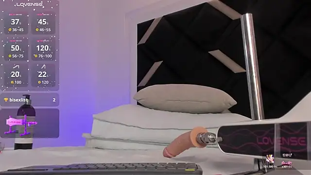 Alexa_Handler webcam