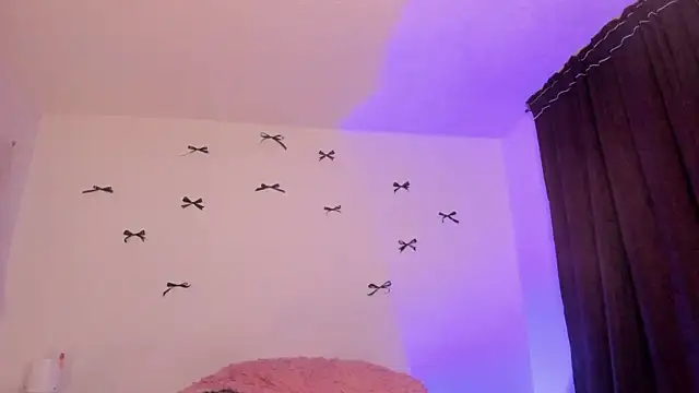 Alessamoth webcam