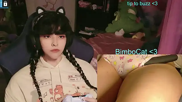 BimboCat webcam