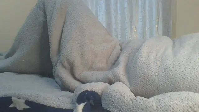 ndivhuwomuleya live cam on StripChat