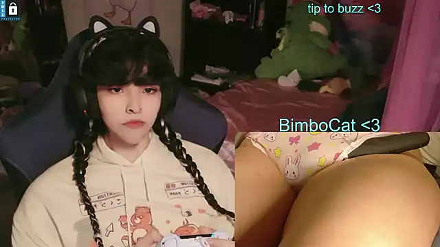 BimboCat webcam