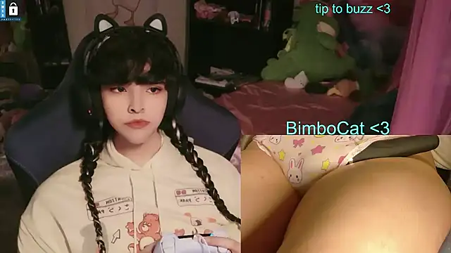 BimboCat webcam