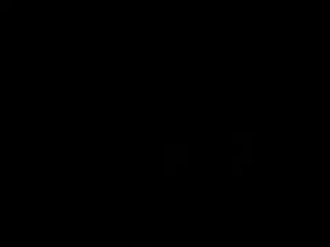 IrisBaker webcam
