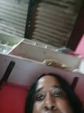 Hellentrans24 webcam