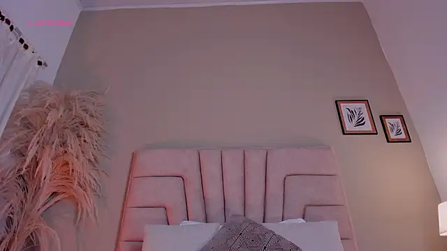 nova_silk webcam