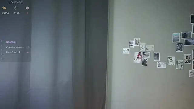 DellaLeck webcam