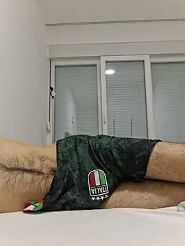 FrameBoy webcam