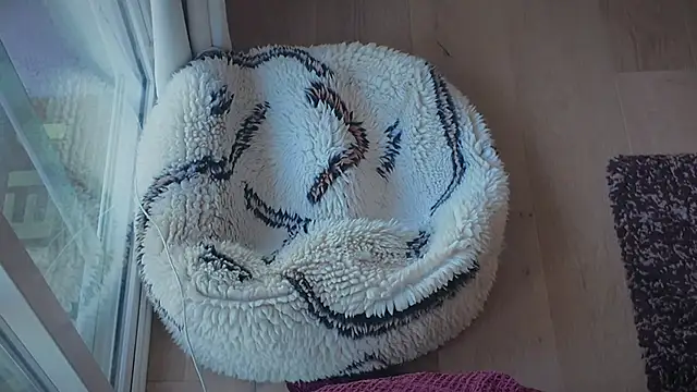 Caked_upp webcam