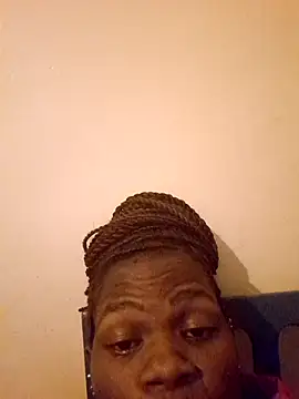 meshje webcam