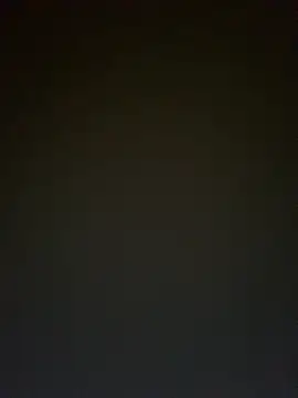 TheDime webcam